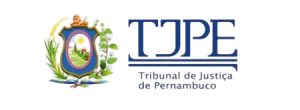 tjpe-768x464-1-e1669291251322-removebg-preview